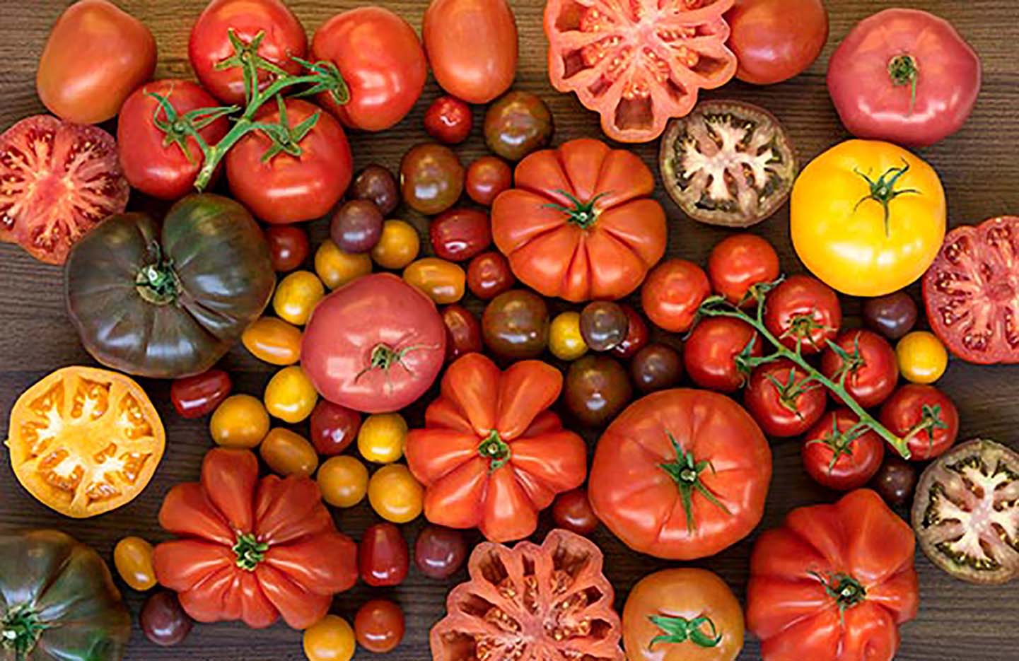 Основні переваги тепличних сортів помідорів в Україні