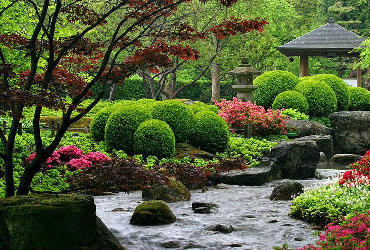 оформлення клумби з туями стилі японський сад