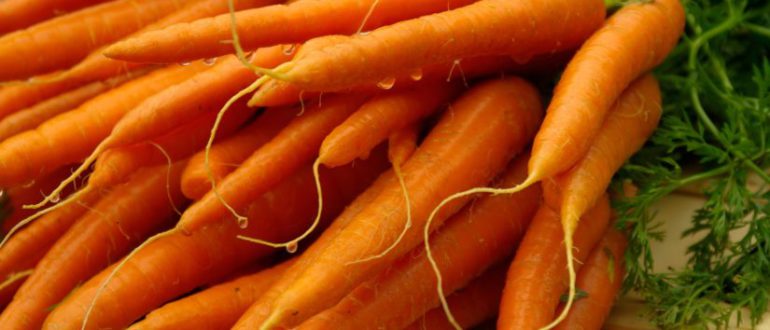 Як зберігати моркву - традиційні і незвичні способи зберігання