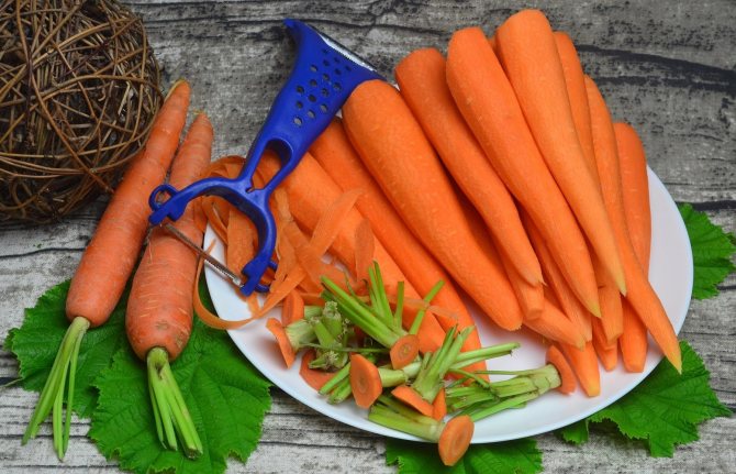Скільки можна зберігати моркву