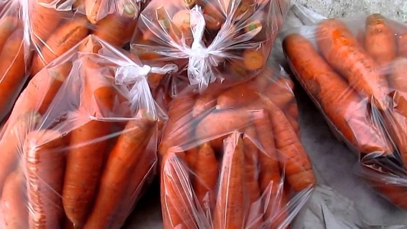 Як правильно зберігати моркву на зиму вдома