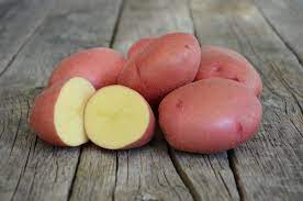 Особливості вирощування картоплі Розара