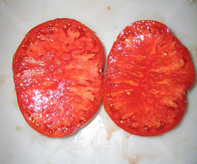 особливості вирощування томатів волове серце