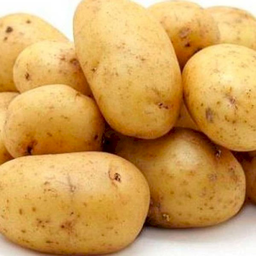 Основні характеристики картоплі гала