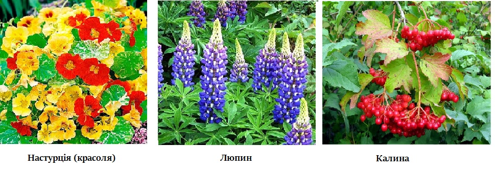 Найкращі кандидати на роль «жертви»