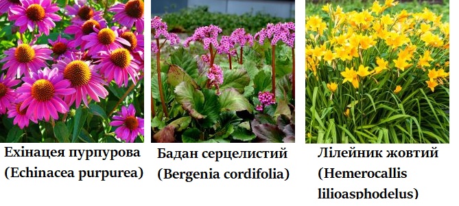 Як зробити так, щоб вони залишалися