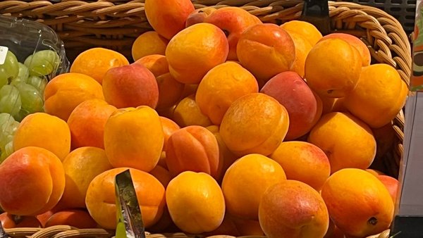 Збір та зберігання врожаю абрикосів