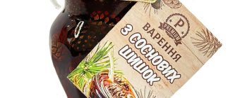 Варення з соснових шишок: лісовий смаколик з характером і користю